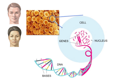 ‪From Teenage to Old Age: How Cancer Develops Over Time‬