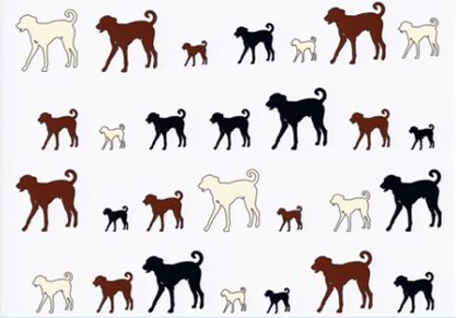Discovering Genes Associated with Diseases and Traits in Dogs